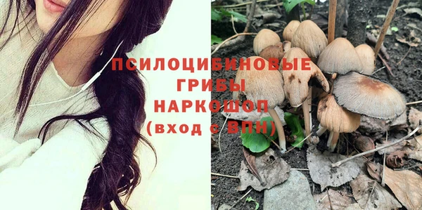 спиды Нея