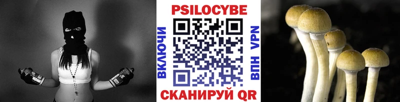 Галлюциногенные грибы MAGIC MUSHROOMS  shop клад  Новопавловск  купить  