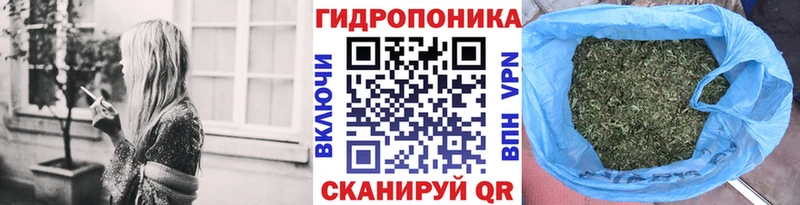 Бошки марихуана план  где можно купить наркотик  МЕГА ONION  нарко площадка состав  Новопавловск 