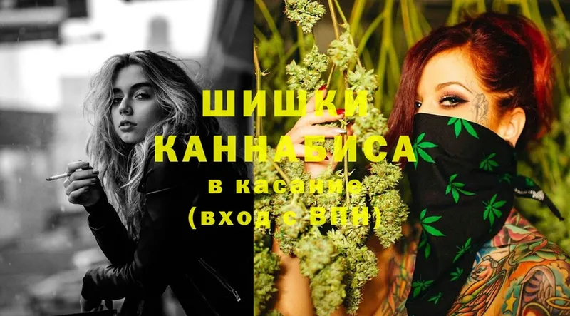 Шишки марихуана SATIVA & INDICA  Новопавловск 